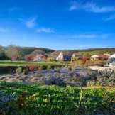 garden with some houses and a white geodesic dome