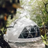 glamping dome at the day between woods