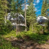 two white geodesic domes in the forest
