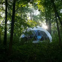 white geodesic dome in the forest