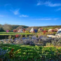 garden with some houses and a white geodesic dome