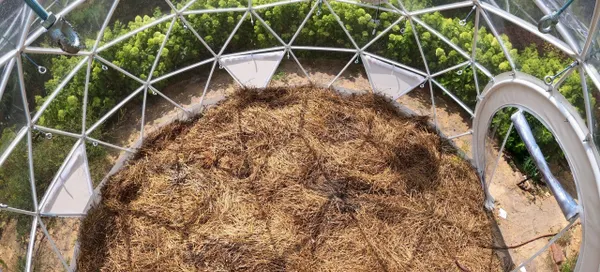 Top-down interior view of a geodesic greenhouse showing a circular growing bed covered with straw mulch.