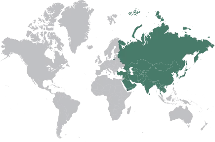 Offline Partner East