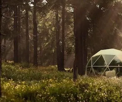 https://fdomes.com/geodesic-dome-kits-domes-and-accessories-to-love/
