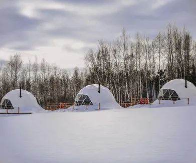 white geodesic domes in snow