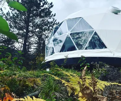 white geodesic dome in a forest