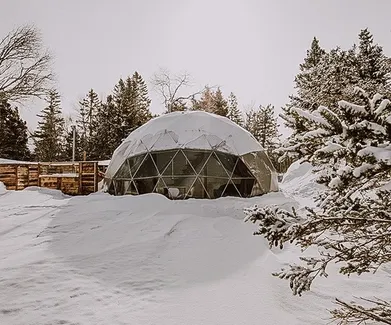 white geodesic dome in winter in forest