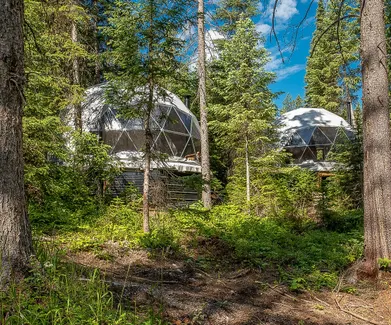 two white geodesic domes in the forest