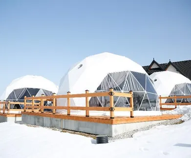 white geodesic domes located in the mountains in winter