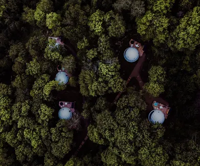 white geodesic domes in forest