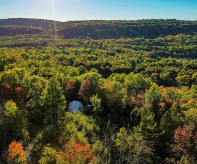white geodesic dome in the middle of forest