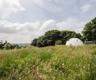 Ekopod powered by FDomes Glamping