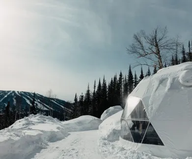 white geodesic dome on snowy field