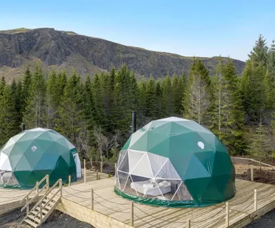 two green geodesic domes on wooden platforms in the forest during the day