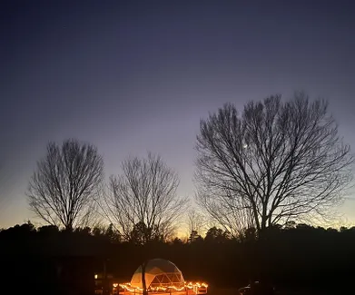 white geodesic dome at night surrounded by lights and trees