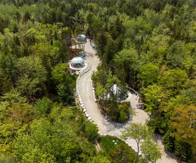 three white geodesic dome in the middle of forest