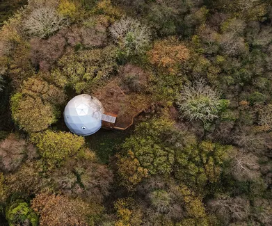 white geodesic dome in the middle of forest