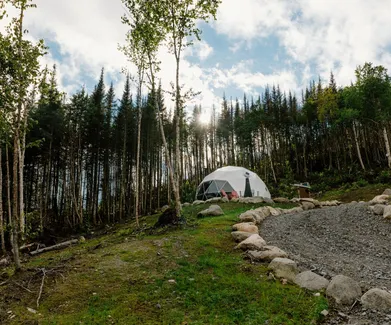 white geodesic dome in front of forest