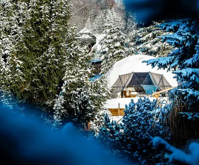 white geodesic dome between snowy trees