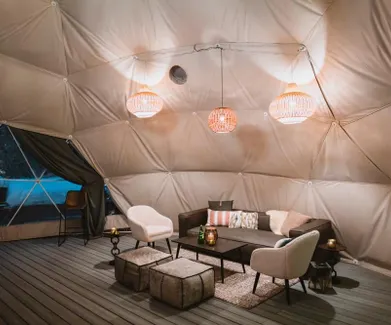 fdomes classic ideas for interior