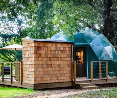 back of green geodesic dome on wooden platform in forest