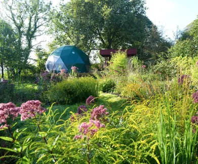 green geodesic dome on wooden deck on the field full of green grass and flowers