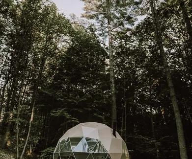white geodesic dome with stack in forest