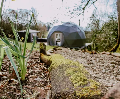 green geodesic dome with stack in forest