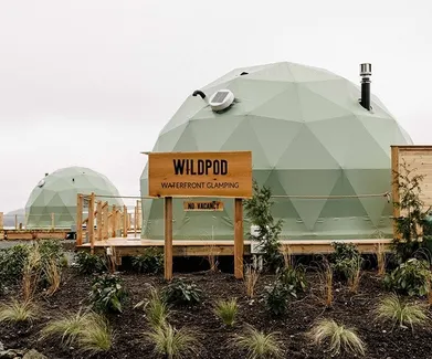 green geodesic domes on wooden platform
