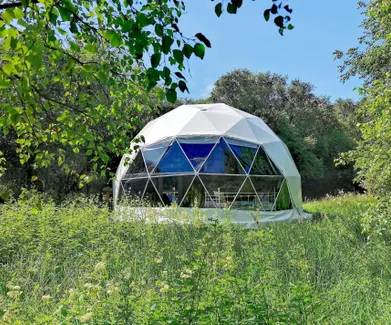 white geodesic dome on a field