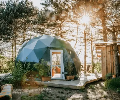 green geodesic dome in the forest