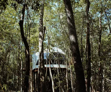 white glamping geodesic dome in behind the trees in the wood