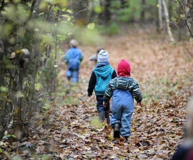 Children attending the forest kindergarten 