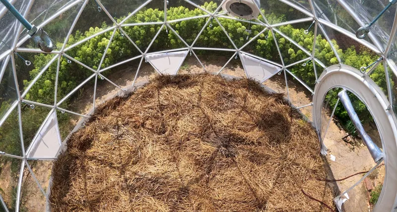 Top-down interior view of a geodesic greenhouse showing a circular growing bed covered with straw mulch.