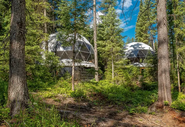two white geodesic domes in the forest