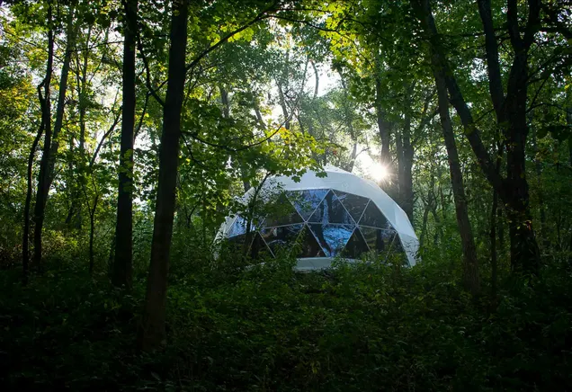 white geodesic dome in the forest