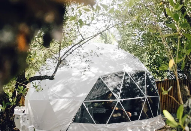 glamping dome at the day between woods