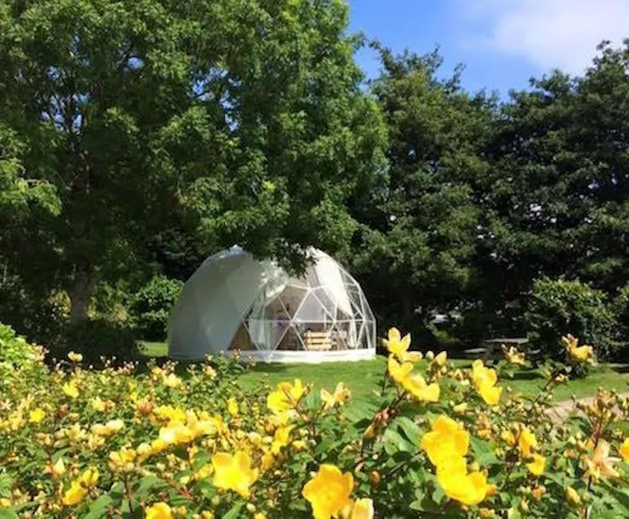 East Crinnis: “Geodesic Domes Are Definitely Most Popular With Guests” FDomes