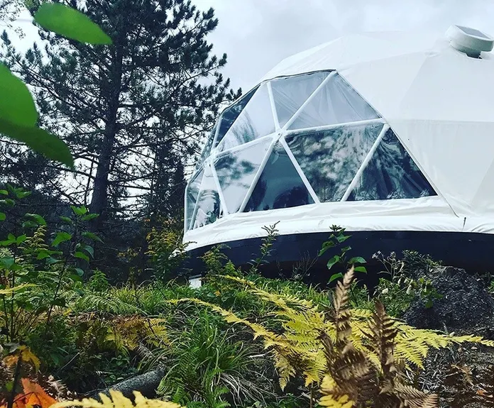 white geodesic dome in a forest