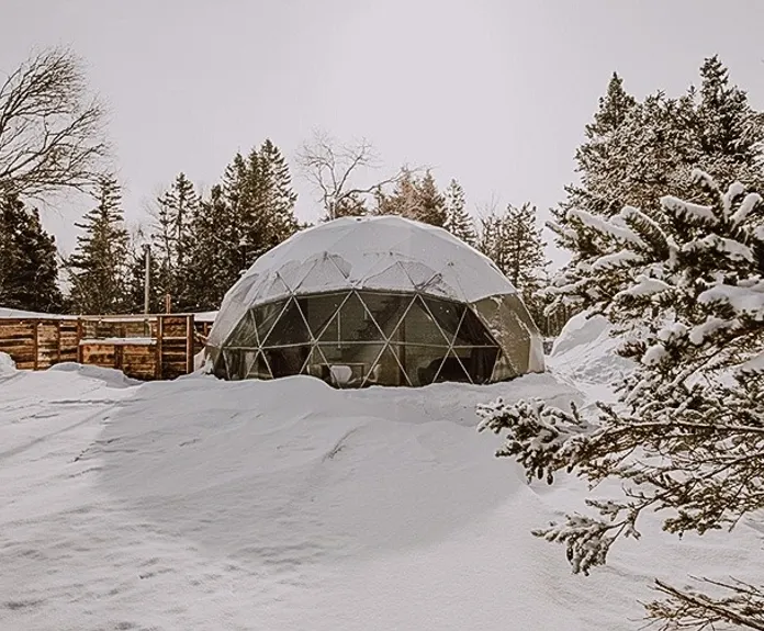 white geodesic dome in winter in forest