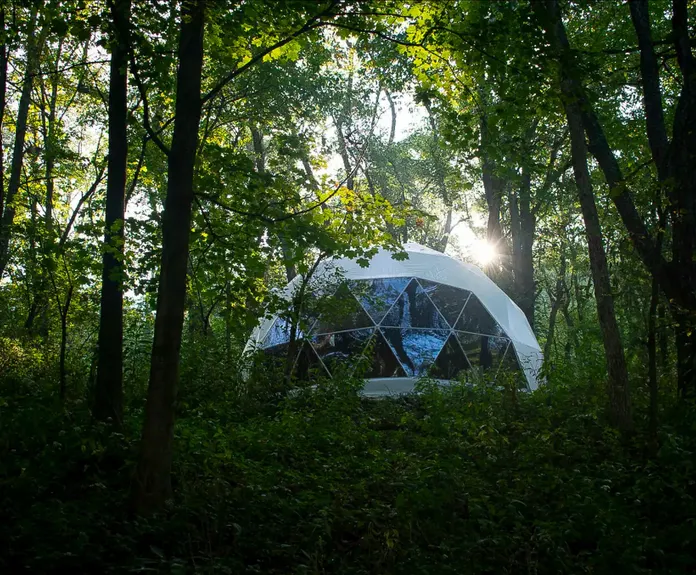 white geodesic dome in the forest