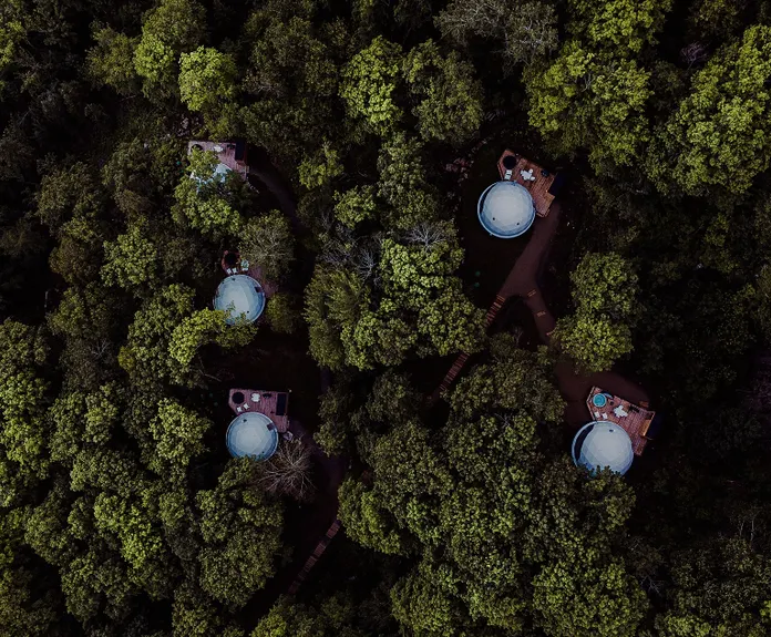 white geodesic domes in forest