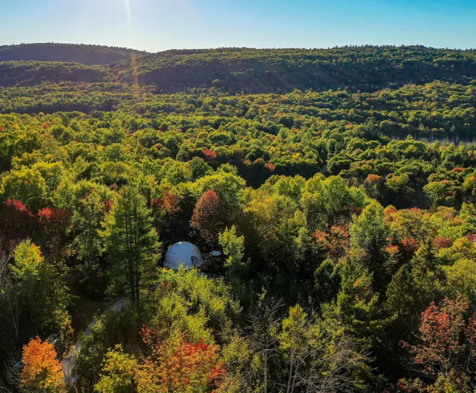 white geodesic dome in the middle of forest