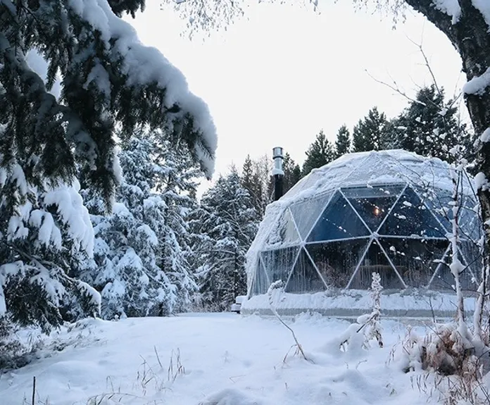 white geodesic dome with stack in winter in forest