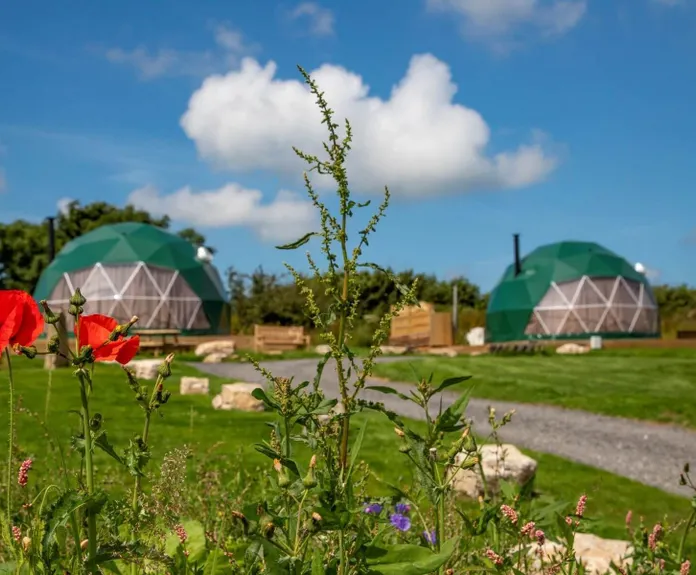 FDomes_Glamping_at_Brynteg_United_Kingdom