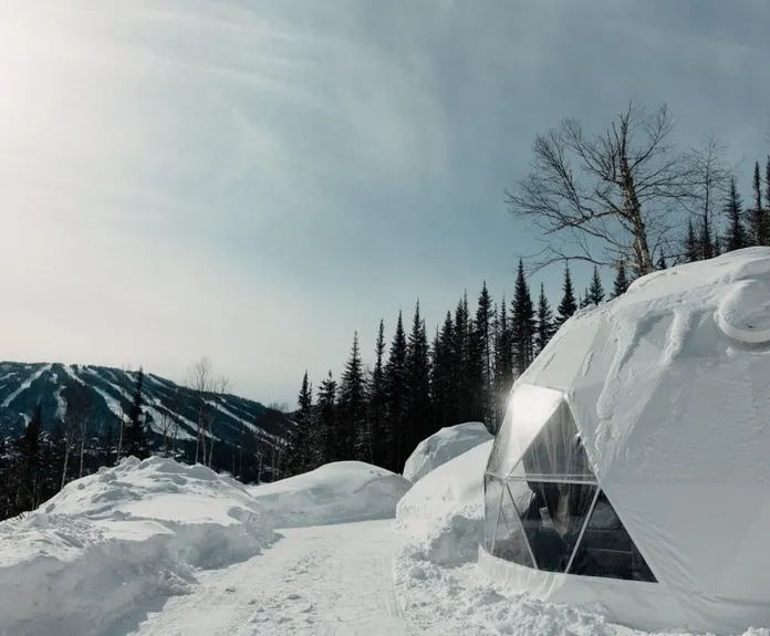 white geodesic dome on snowy field