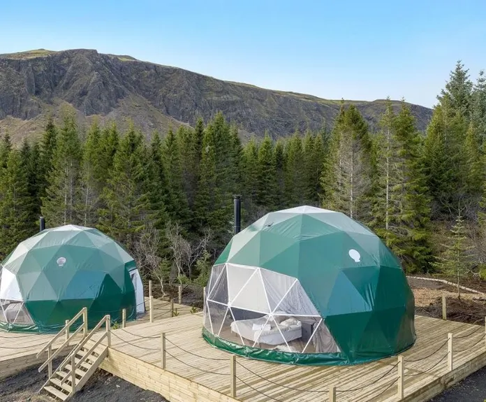 two green geodesic domes on wooden platforms in the forest during the day