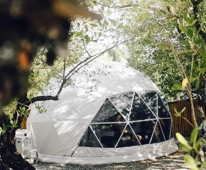 glamping dome at the day between woods