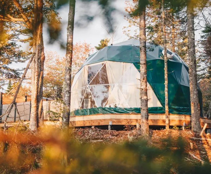 green geodesic dome in forest