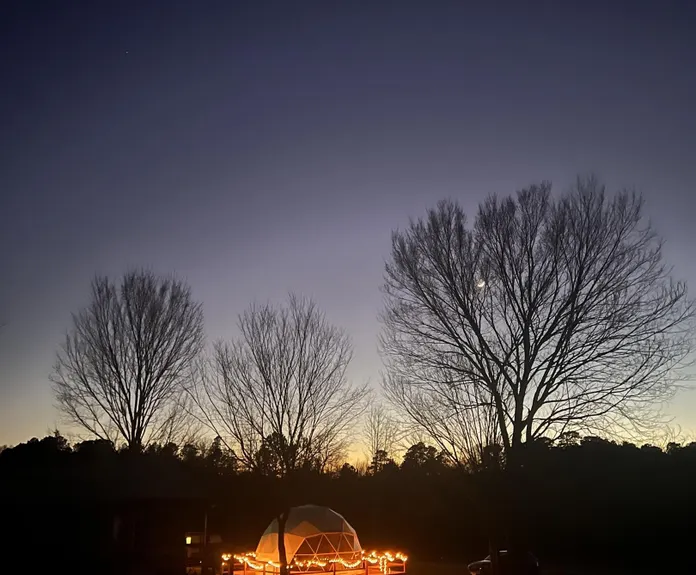 white geodesic dome at night surrounded by lights and trees